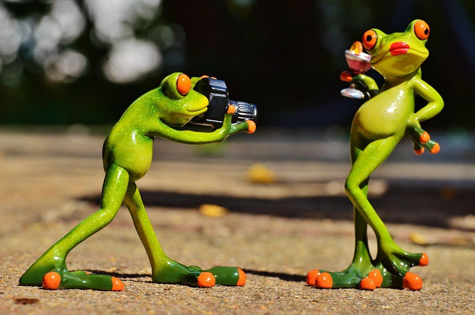 האם כדאי להשקיע כסף בשכירת מלווה מוזיקלי מקצועי?