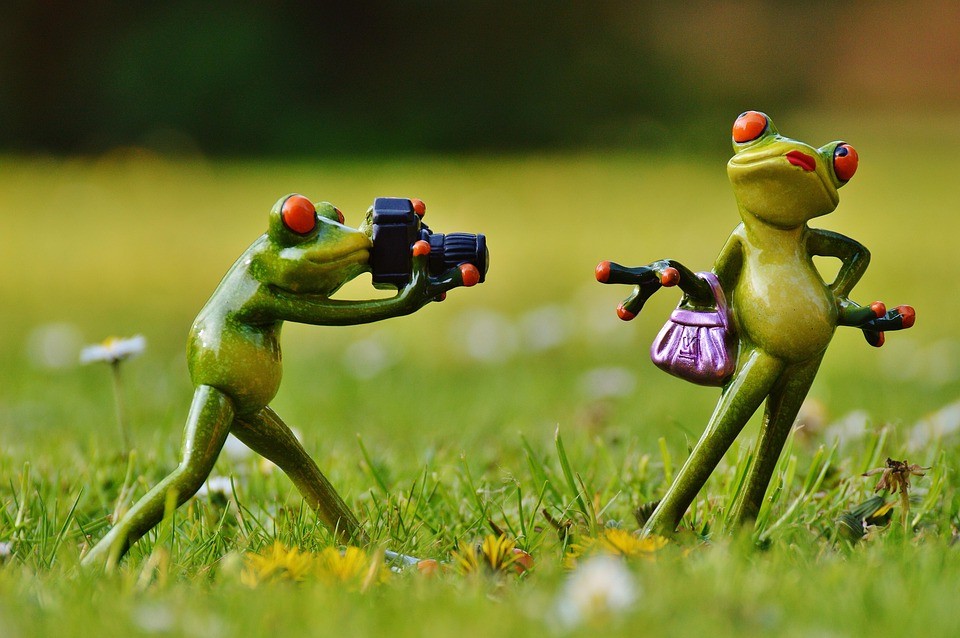 הלילה עם בחורות לוקסוס מדליות בדלהי